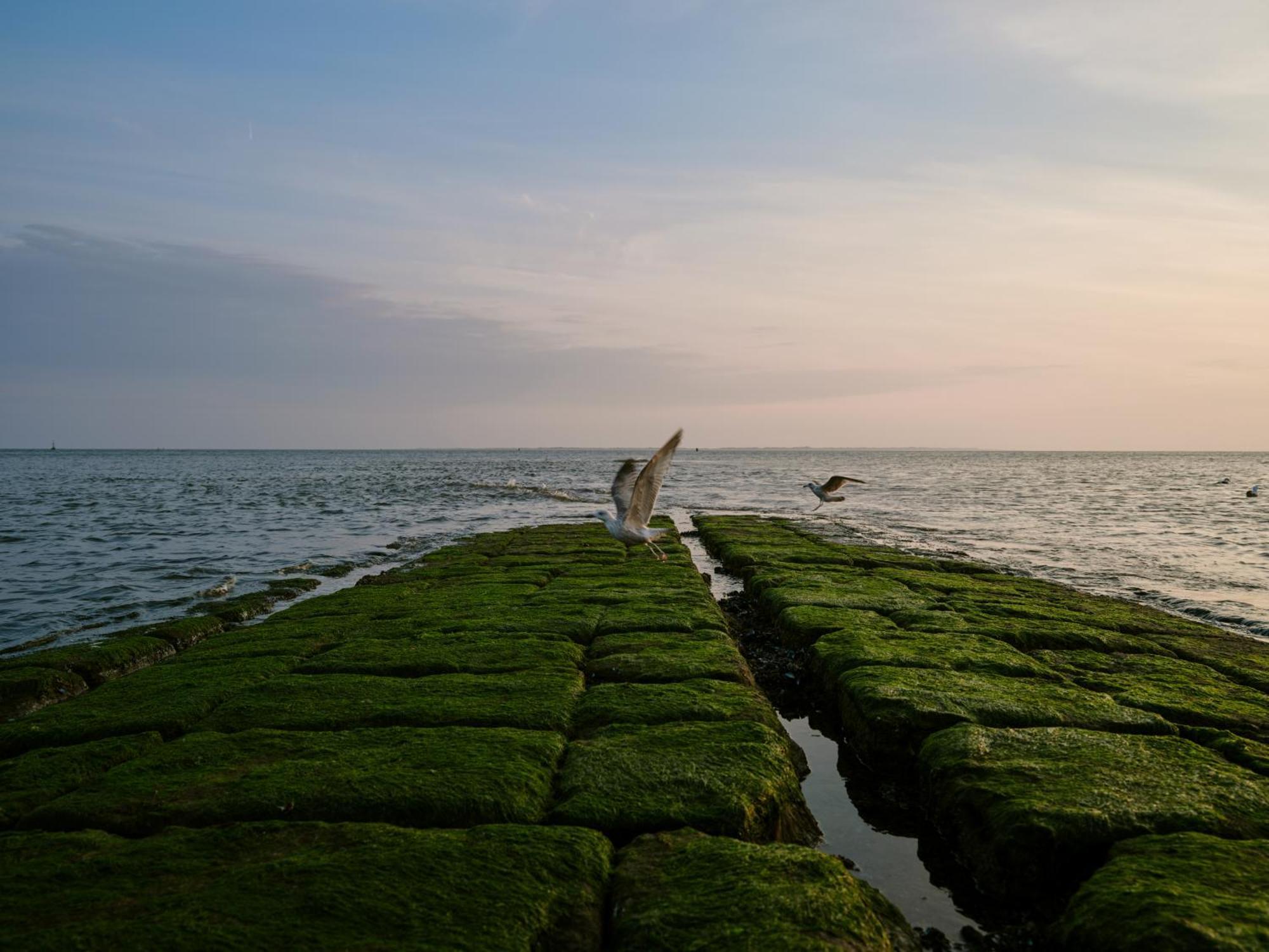 1884 Norderney Hotel Ngoại thất bức ảnh
